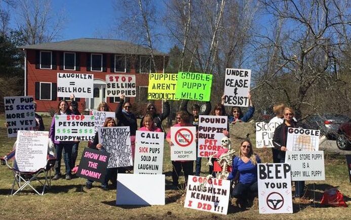 Puppy mill protesters and signs